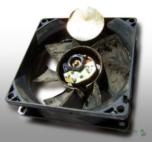 Dusty fan from clogged air filter.